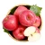 Import Hot sale New harvest frozen fresh fruit apple from China