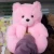 Import Hot sale  plush  warm teddy bear slippers women from China
