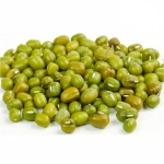 Hot Selling Export Green Mung Beans with Great Price Moong Beans