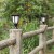 Import Hot Selling Landscape Lighting Outdoor Waterproof IP66 High Quality 2020 New Design Solar Powered LED Flame Yard Lawn Light from China