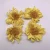 Import HYO4083 Huang lian hua healthy and natural yellow lotus flower with good quality dried flower tea from China