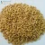 Import Indian Wheat Grain from India