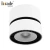 Import Indoor residential 12w cylinder surface mounted rotating led ceiling light from China