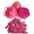 Import IQF RED DRAGON FRUIT WITH BEST PRICE from Vietnam