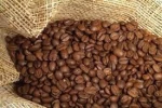java coffee beans
