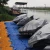 Import Jetski floating for sale from China