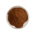 Import kudzu root extract 10%50% 98% puerarin and 40% 98% pueraria flavones pueraria mirifica powder from China