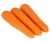 Import long fresh carrots from iran carrots carrot production in india from Philippines