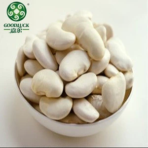 Looking for import and export partner of organic white butter beans for baking