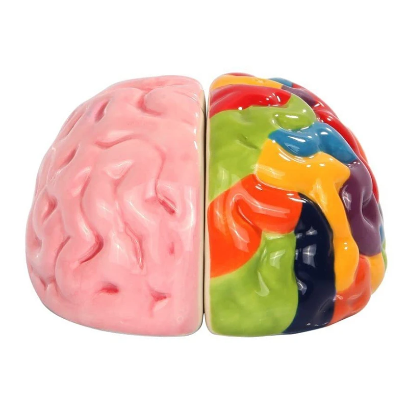 Magnetic Ceramic Salt Pepper Shakers Left and Right Brain