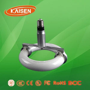 Magnetic induction light/induction lamp/induction round bulb with e40 base