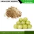 Import Manufacturer Exporter Producer of Organic Herbal Natural Amla Powder from India