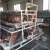 Import March Special Offer A type 96 or 128 capacity automatic layer battery chicken cage for sale from China