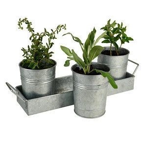 Metal tin garden plant flower pot tray with mini size
