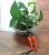 Import Mini Branch Leaf Garden Shear Saw Lopper Pruning Scissors from China