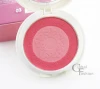 MISS YIFI Mineral makeup private label cosmetics palette 2 color blush powder