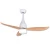 Import Modern AC DC Electric Energy Saving Remote Control LED Ceiling Fan With Light from China