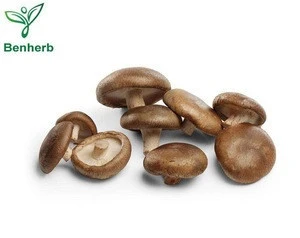 Natura Shitake Mushroom Extract/Lentinan Extract Polysaccharide