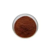 Natural Animal Extracts 40%-45% Ox Bile Powder
