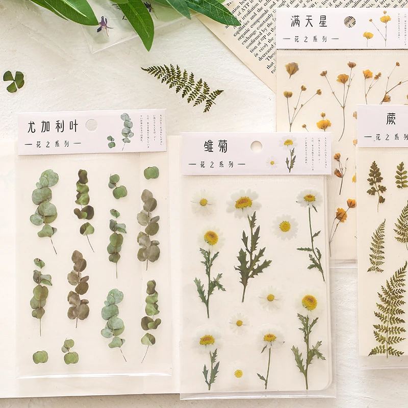 Natural Daisy Clover Japanese Words Stickers Transparent PET Material Flowers Leaves Plants Decoration Stickers