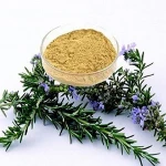 Natural green food additive antioxidant fresh keepting 100% pure  decolorized Carnosic Acid 10% 20% 30% 60% 70%