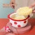 Import New Arrival Heat-Proof Ceramic Tableware Noodle Soup Bowl Porcelain Bowl With handle from China