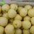 Import new crop China fresh golden pear for sale from China