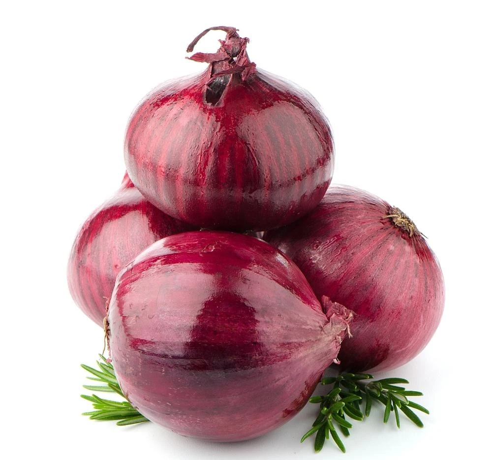 New Crop Wholesale High Quality  Red Onion