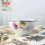 Import new design bone china floral dinner set dinnerware ceramic for home from China
