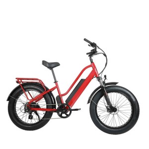 New Design Electric Sports Bike with Aluminum Alloy, Fat Tire Ebike (ML-FB006)