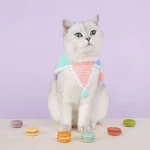 New Design Spring Autumn pet apparel clothes In Promotion
