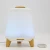 Import New Model 300mL Wooden Essential Oil Humidifier Aroma Diffuser with Sleep Mode Colorful Changing Light from China