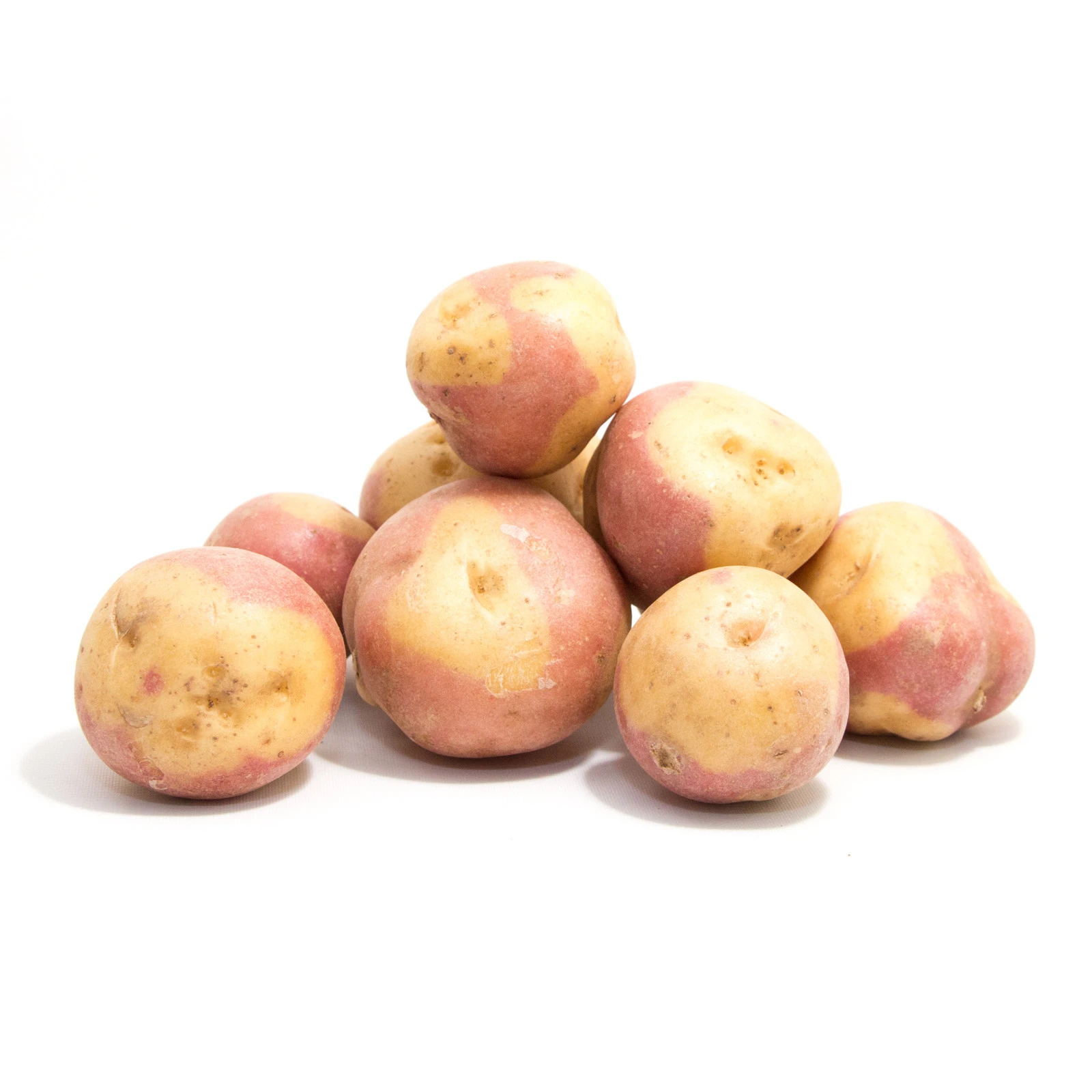 New Season Fresh Potato / New Crop Fresh Potato of United Kingdom