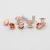 Import Nolvo World rose gold 6*4.5 mm decorative mushroom head studs spikes rivets for leather craft clothing shoes bags accessory from China