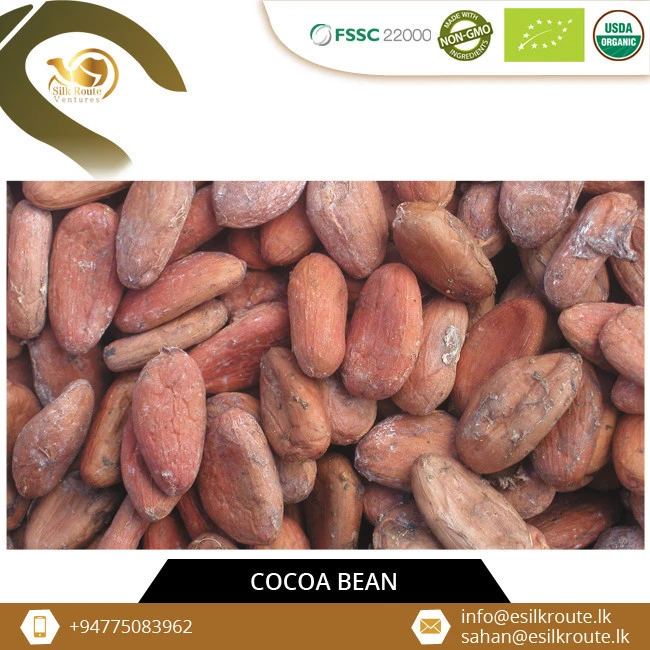 Nutrients Promoting Natural Ceylon Criollo Cocoa Beans