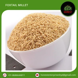 Organic Foxtail Millet Seed for Sale