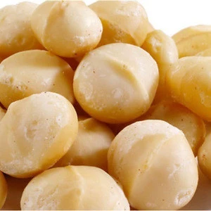 Organic Macadamia Nuts With Shell/ Roasted Macadamia Nuts