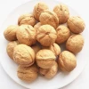 organic wholesale walnuts in shelled  for sale