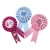 Import Party Decoration Handmade Satin Ribbon Award Rosette For Other Holiday Supplies from China
