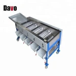 Passion Fruit Grading Machine/ Sorting Machine For Fruit/ Fruit Washing And Sorting Machine