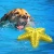 Import Pet Starfish-shaped Floating Sounding Teething Stick Dog Plastic Dog Chew Toy from China