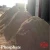Import phosphate rock high quality ( P2O5) 25 % from Egypt