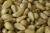 Import Pine Nuts wholesale price from Belgium