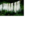 Pineapple Fiber for Textile Artists, Spinners, Weavers, Art and Crafts