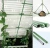 Import Plastic Garden Stake Metal Plant Support Metal Tomato Cage from China