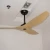 Popular Dc Brushless Motor Low Power Consumption Ceiling Fan Acrylic Blades Ceiling Fan