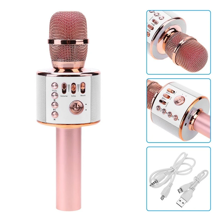 Portable Media Wireless Karaoke Microphone Player Connectors Professional True Diversity Wireless Microphone Happyroom 10 Meter
