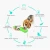 Import Portable Pet Dog Water Bottle for Small Large Dogs Travel Puppy Cat Drinking Bowl Outdoor Pet Water Dispenser Feeder Pet Product from China