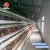 Import Poultry farm used a type ladder laying hen chicken cages with egg collection system/machine from China