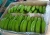 Import Premium Green Fresh Cavendish Bananas Available from South Africa